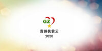 ���ݷ�ƶ��2020