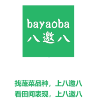 八邀八app 八邀八app