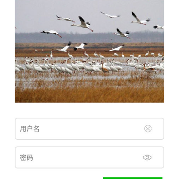 白城智慧民生 白城智慧民生