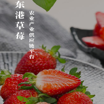 ���۲�ݮApp