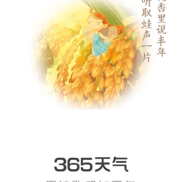 365����