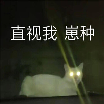 006QCni2ly1gfs268n9j4j30u00snmyv.jpg