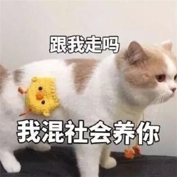 006QCni2ly1gfs267io75j30c80c8q3w.jpg