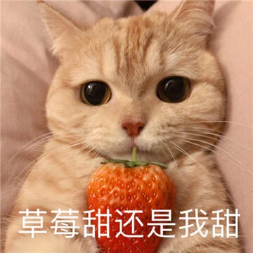 006QCni2ly1gfs267va51j30u00u0gr7.jpg