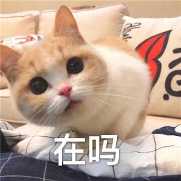 006QCni2ly1gfs2685sdcj30jg0ji75z.jpg