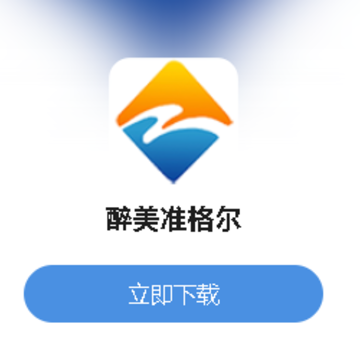 ����׼���app