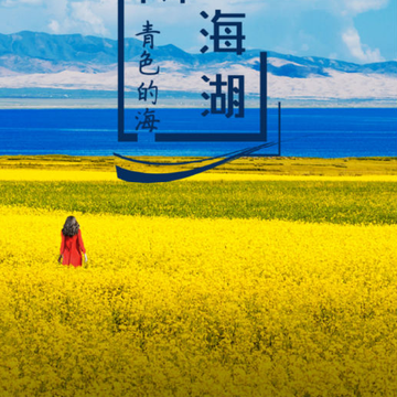 青海同城 青海同城