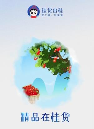 �������app