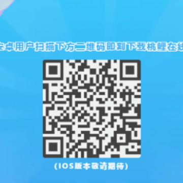 ��������app