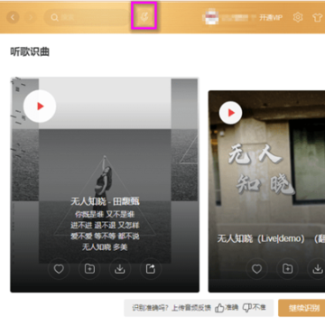 网易云音乐绿色去广告纯净版 网易云音乐绿色去广告纯净版