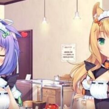 �ɿ�����������������