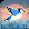 Bouncy Bird(有弹性的鸟)v1.0.0 安卓版