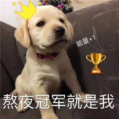 ΢�Ÿ��Ը�Ц�ɰ���ɳ��ı���� ������������Ϊ�����Ҫ