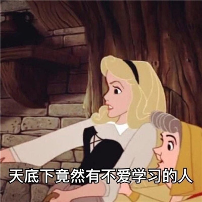 һ�鲻��ѧϰ�ĵ�ʿ�ṫ������� ���ܰ������ڴ�������
