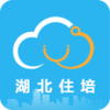 ����ס��appv1.0.31 ���°�