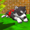 Cute Pocket Puppy 3D(С������ģ����)v1.2.2.3 ��׿��