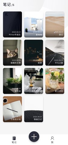 Ritterͼ�ıʼ�appv0.0.3 ���°�