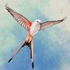 չ�᰿��(WINGSPAN)���������ⰲװ��