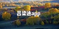����ͨapp