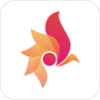 һ��(�ݳ�Ʒ��Ϣ��ѯ����)v1.0.3 ��׿��