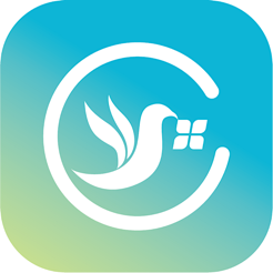 �ɸ��ְv1.0 �ֻ���