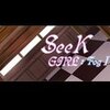 Seek Girl Fog���ⰲװ���İ�