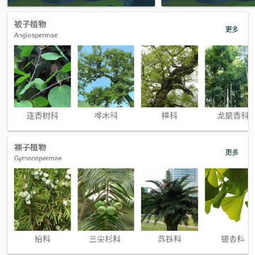 热博(拍照识别) 热博(拍照识别)