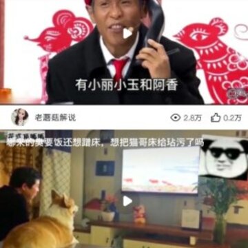 桔子视频 桔子视频