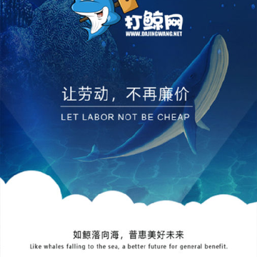打鲸网 打鲸网