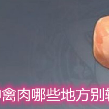 原神禽肉哪些地方别较多 禽肉最佳获取地点分享 原神禽肉哪些地方别较多 禽肉最佳获取地点分享