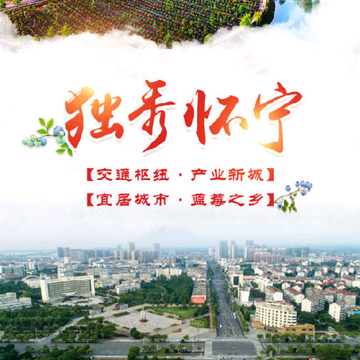 独秀怀宁 独秀怀宁