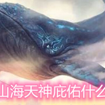 妄想山海天神庇佑什么意思 天神庇佑的作用和解除方法 妄想山海天神庇佑什么意思 天神庇佑的作用和解除方法