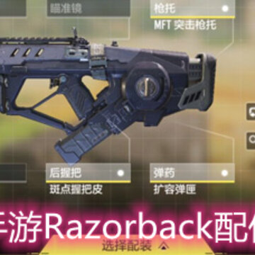 ʹ���ٻ�����Razorback�����ô���� ���ǹRazorback���ѡ���Ƽ�