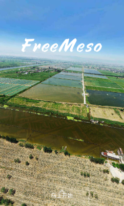 FreeMeso app FreeMeso app