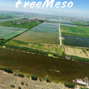 FreeMeso app
