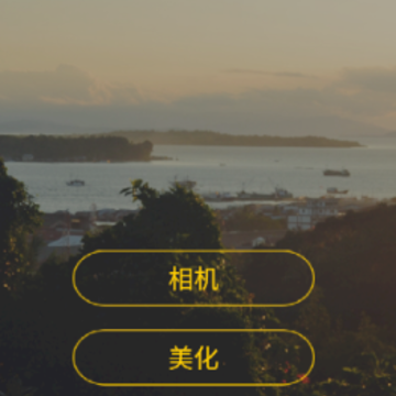 BT Shutter  Pro