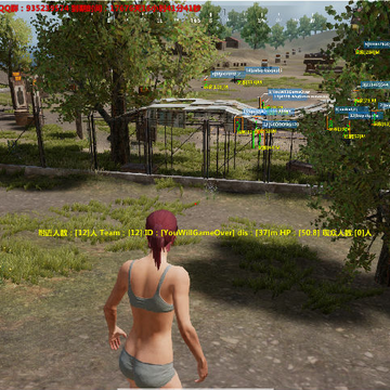 pubg liteС���⸨��