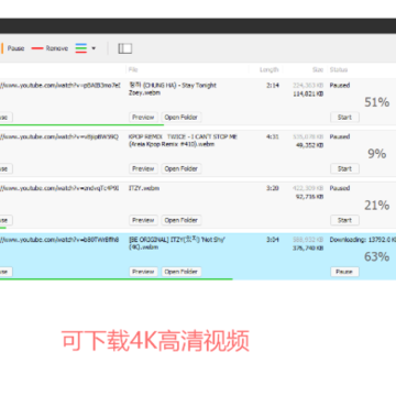 YouTube下载器专业版 YouTube下载器专业版