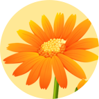 С������׬Ǯ��Ϸv1.0.0 ���°�