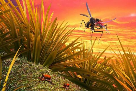 ����ģ����3Dv1.3.0 ���°�