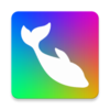 FlowPhoto appv6.5.4.4 ���°�