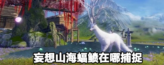 妄想山海蝠鲼在抓 妄想山海蝠鲼怎么抓