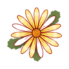 �¾��ڼ�¼v1.2.24 �ֻ���