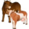 �Ϸ�ţ���˳�2021(��ע����)