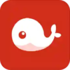 �þ���appv1.0.0 �ֻ���