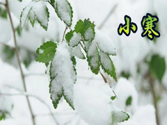 С���簲�ʺ���˵˵ 2021С��˵˵��ȫ