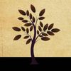 �ڵ�˼άappv5.1.6 ���°�