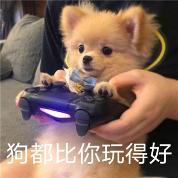 让你看到后没烦恼的好笑聊天表情 很有氛围感的经典表情合集 让你看到后没烦恼的好笑聊天表情 很有氛围感的经典表情合集