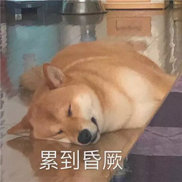 让你看到后没烦恼的好笑聊天表情 很有氛围感的经典表情合集 让你看到后没烦恼的好笑聊天表情 很有氛围感的经典表情合集