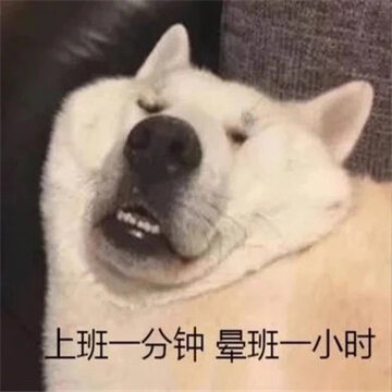 让你看到后没烦恼的好笑聊天表情 很有氛围感的经典表情合集 让你看到后没烦恼的好笑聊天表情 很有氛围感的经典表情合集